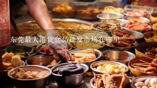 东莞最大港货食品批发市场在哪里