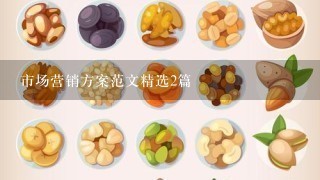 市场营销方案范文精选2篇