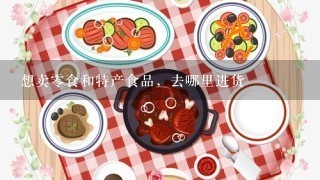 想卖零食和特产食品，去哪里进货