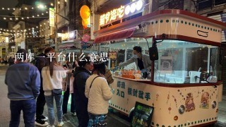 两库一平台什么意思