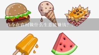 当今在农村做什么生意能赚钱？？