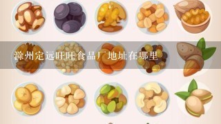 滁州定远旺旺食品厂地址在哪里