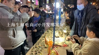 上海生鲜电商app开发哪家好