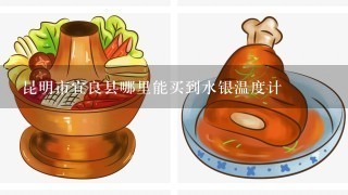 昆明市宜良县哪里能买到水银温度计