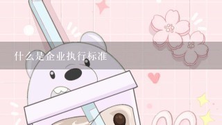 什么是企业执行标准