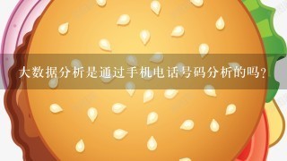 大数据分析是通过手机电话号码分析的吗?