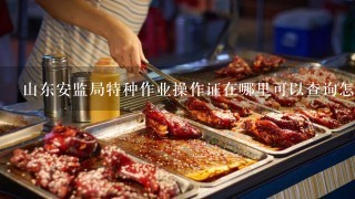 山东安监局特种作业操作证在哪里可以查询怎么查询