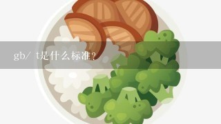 gb/ t是什么标准？