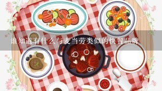 谁知道有什么与麦当劳类似的快餐品牌