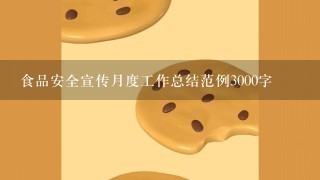 食品安全宣传月度工作总结范例3000字