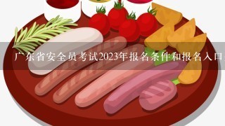 广东省安全员考试2023年报名条件和报名入口开通时间？