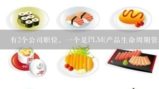 有2个公司职位，1个是PLM(产品生命周期管理)项目，1个是银行项目，我该如何抉择？