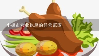 小超市营业执照的经营范围